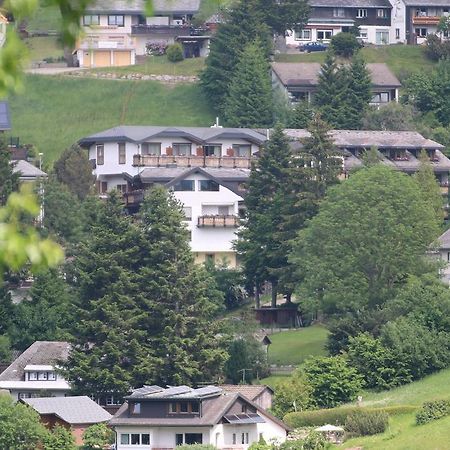 Todnauerberg Hotel Im Schwarzwald トートナウベルク エクステリア 写真