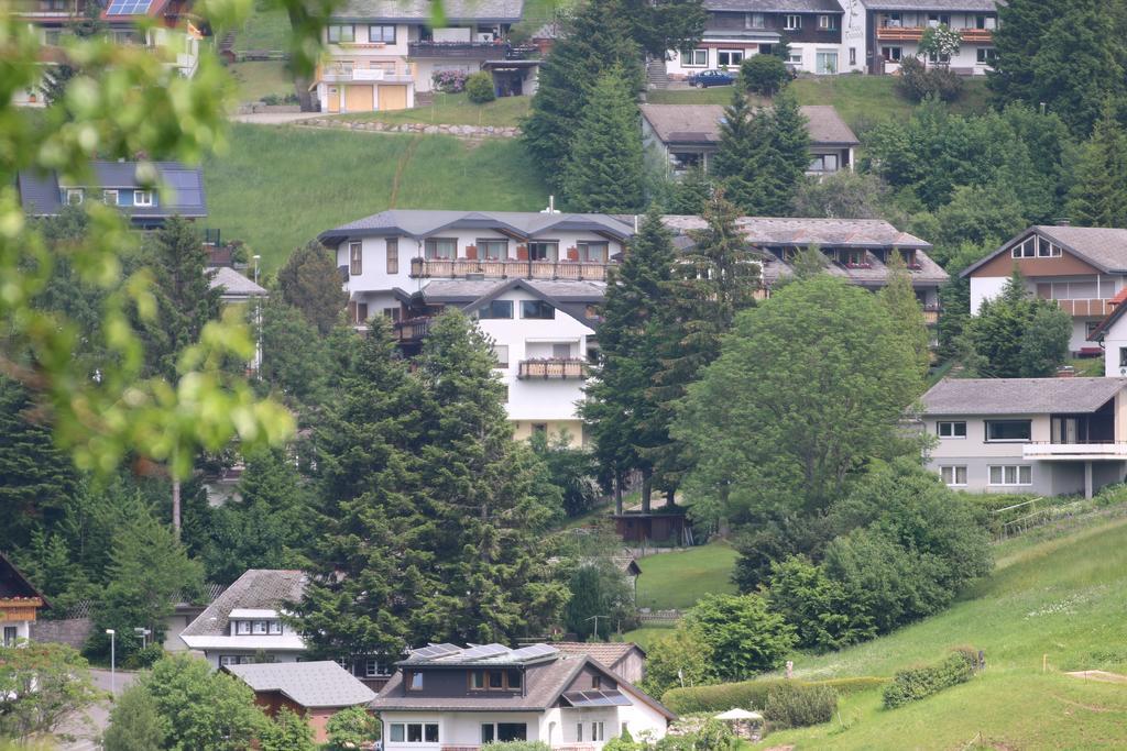 Todnauerberg Hotel Im Schwarzwald トートナウベルク エクステリア 写真