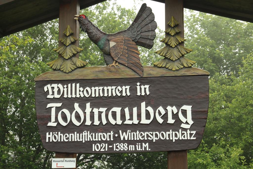 Todnauerberg Hotel Im Schwarzwald トートナウベルク エクステリア 写真