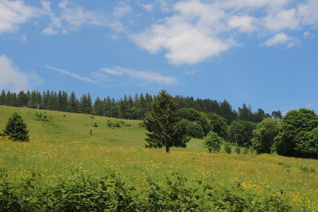 Todnauerberg Hotel Im Schwarzwald トートナウベルク エクステリア 写真