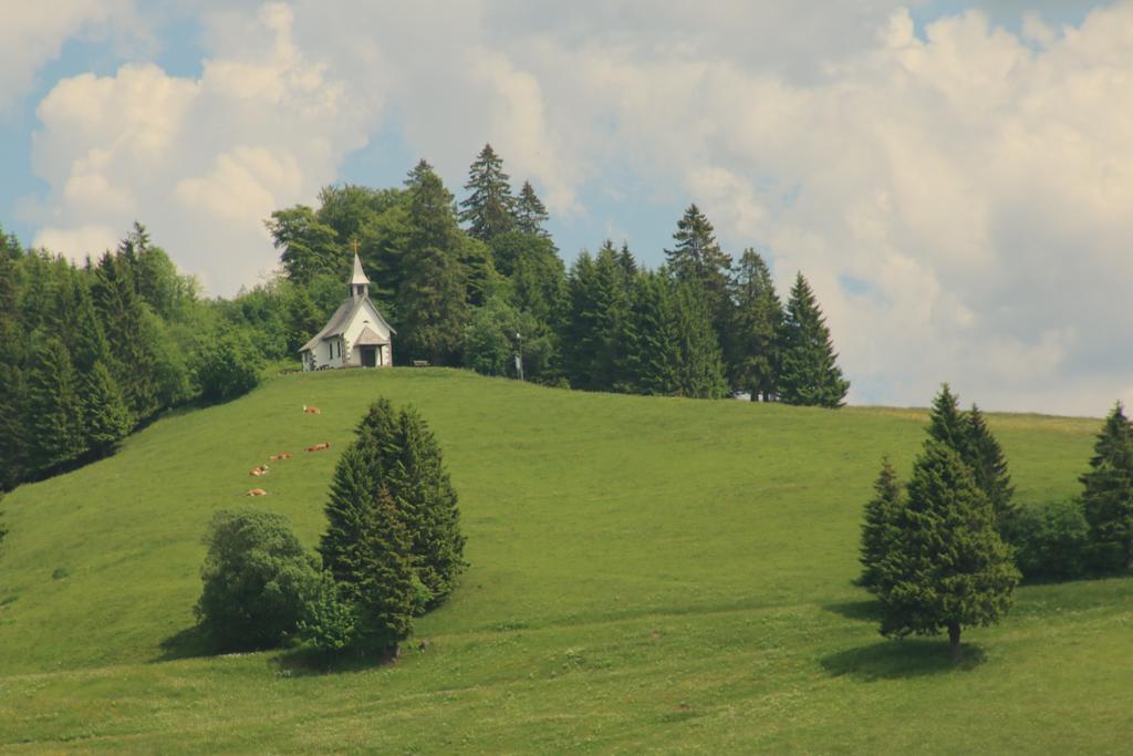 Todnauerberg Hotel Im Schwarzwald トートナウベルク エクステリア 写真