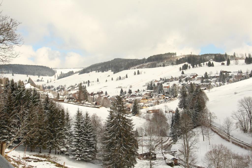 Todnauerberg Hotel Im Schwarzwald トートナウベルク エクステリア 写真