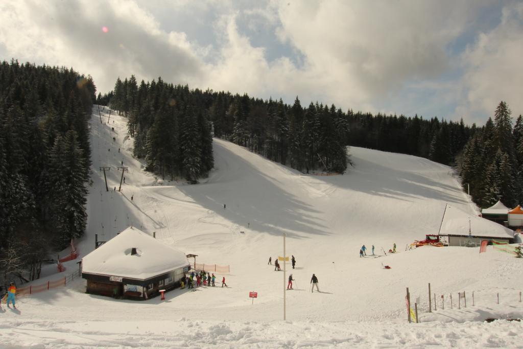 Todnauerberg Hotel Im Schwarzwald トートナウベルク エクステリア 写真