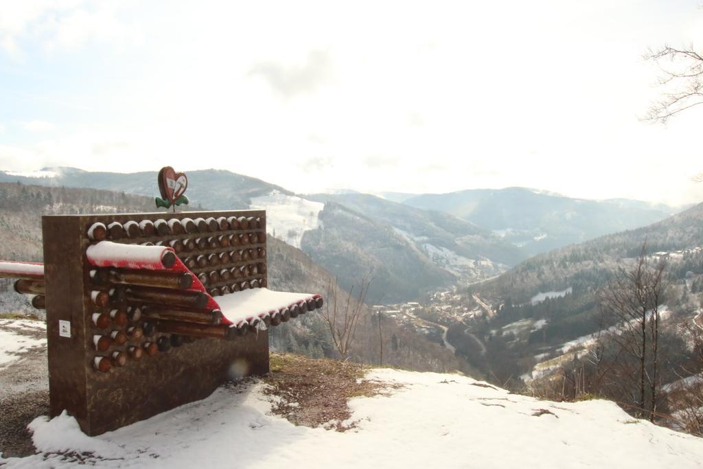 Todnauerberg Hotel Im Schwarzwald トートナウベルク エクステリア 写真