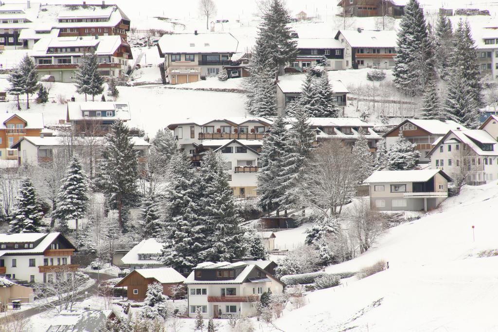 Todnauerberg Hotel Im Schwarzwald トートナウベルク エクステリア 写真