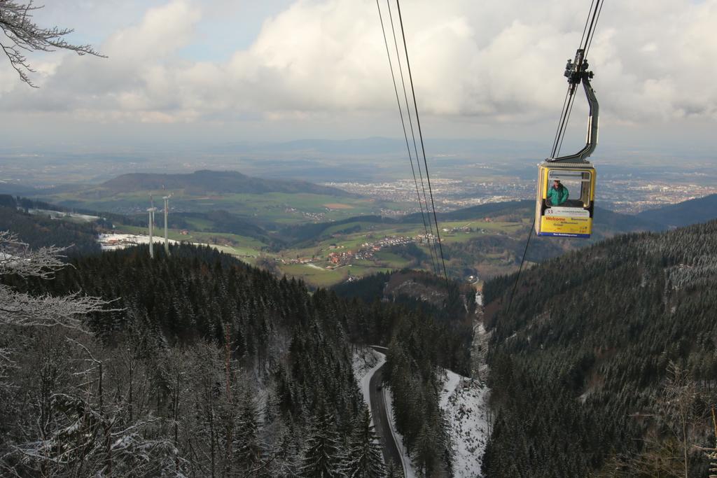 Todnauerberg Hotel Im Schwarzwald トートナウベルク エクステリア 写真
